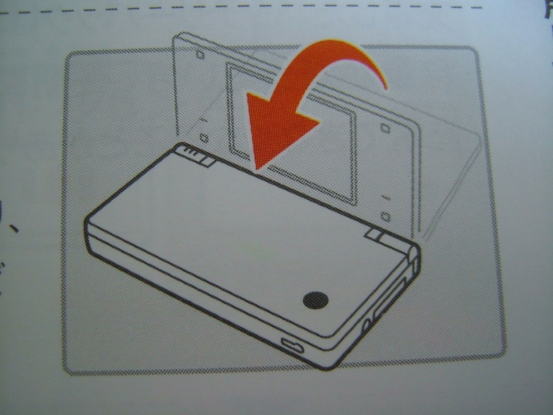 Illustration for article titled Hey Dummy, Don't Microwave The DSi (And Other Nintendo Tips)